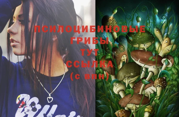 винт Абинск