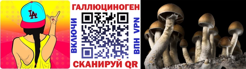 гидра ТОР  Нариманов  Галлюциногенные грибы Psilocybe 